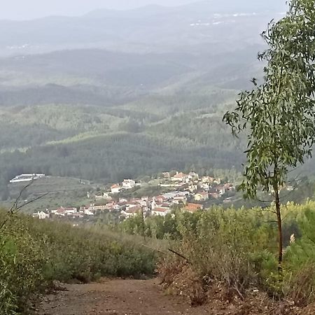 Casa Xara Daire Proença-a-Nova Dış mekan fotoğraf